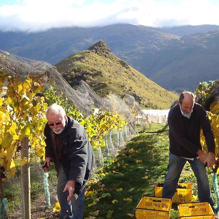 Mt Rosa Lodge Boutique Vineyard Accommodation Уанака Екстериор снимка