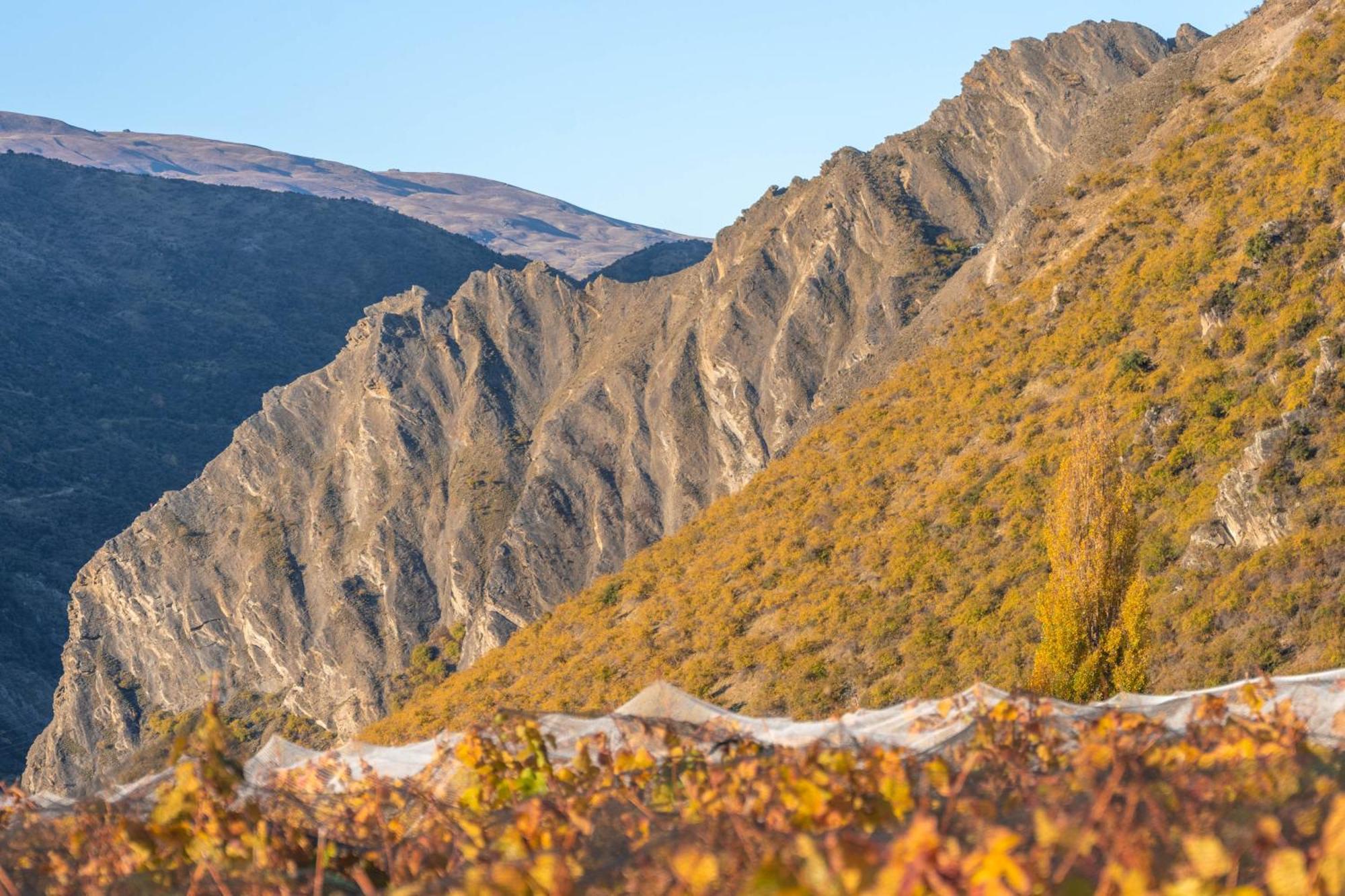 Mt Rosa Lodge Boutique Vineyard Accommodation Уанака Екстериор снимка
