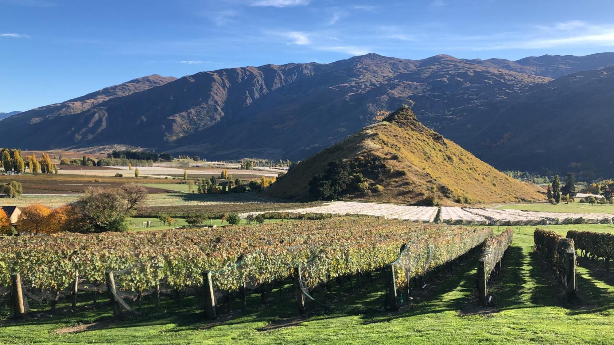 Mt Rosa Lodge Boutique Vineyard Accommodation Уанака Екстериор снимка
