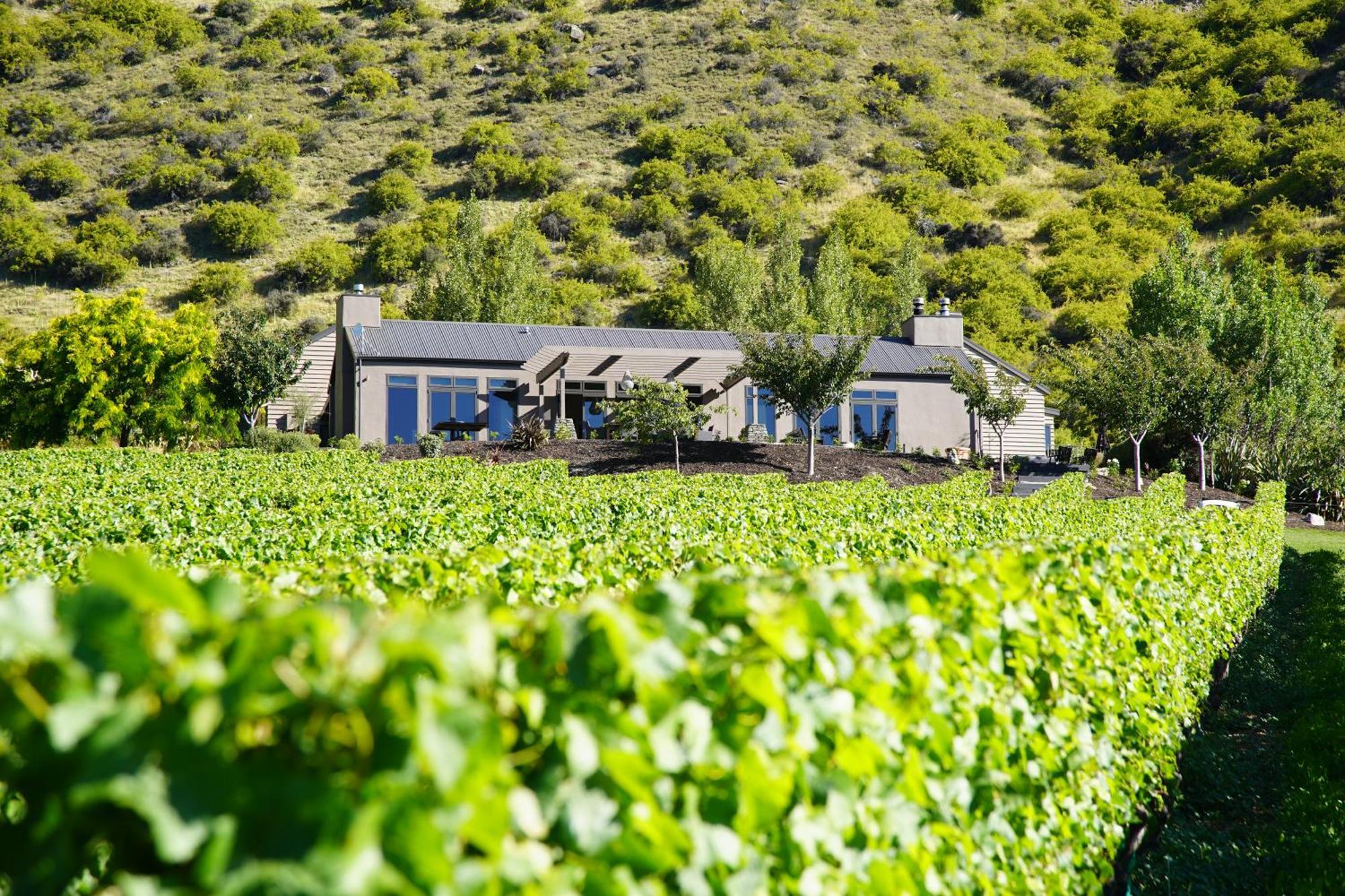 Mt Rosa Lodge Boutique Vineyard Accommodation Уанака Екстериор снимка
