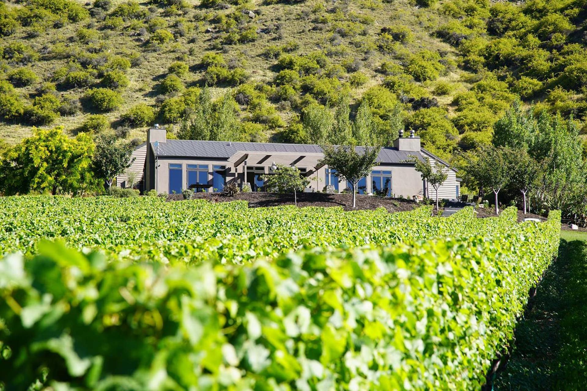 Mt Rosa Lodge Boutique Vineyard Accommodation Уанака Екстериор снимка