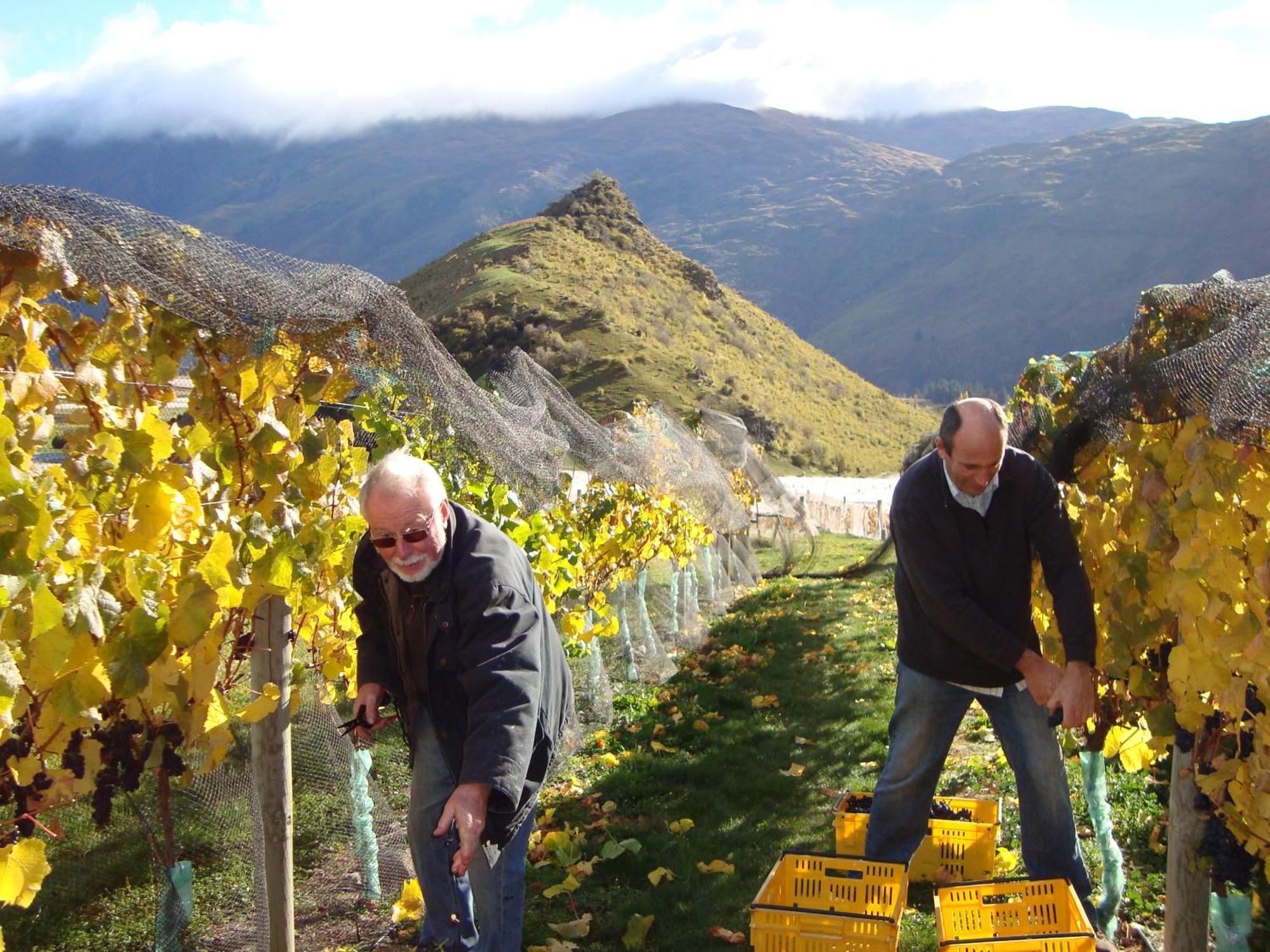 Mt Rosa Lodge Boutique Vineyard Accommodation Уанака Екстериор снимка