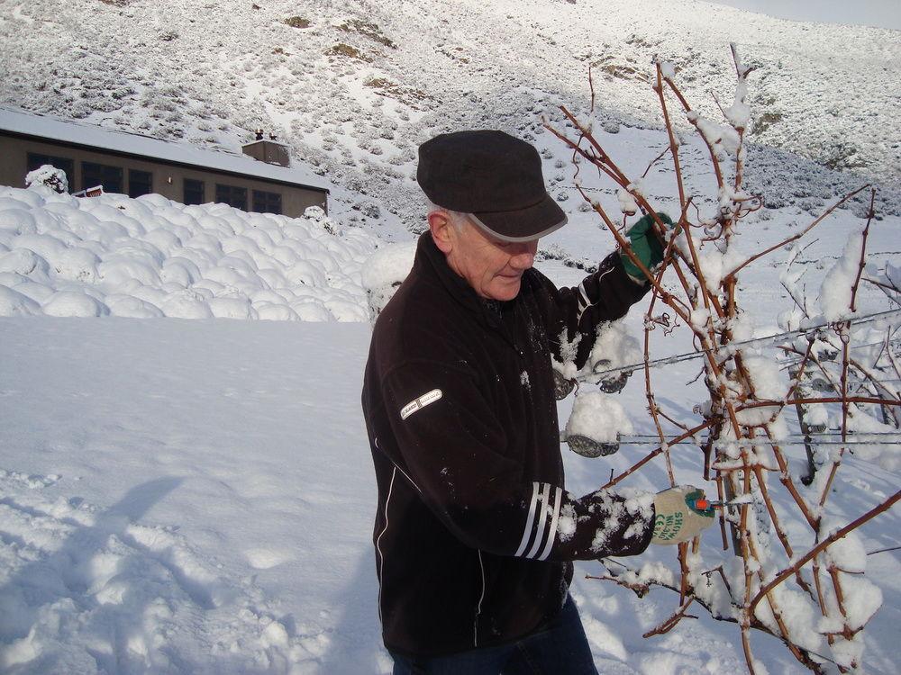 Mt Rosa Lodge Boutique Vineyard Accommodation Уанака Екстериор снимка