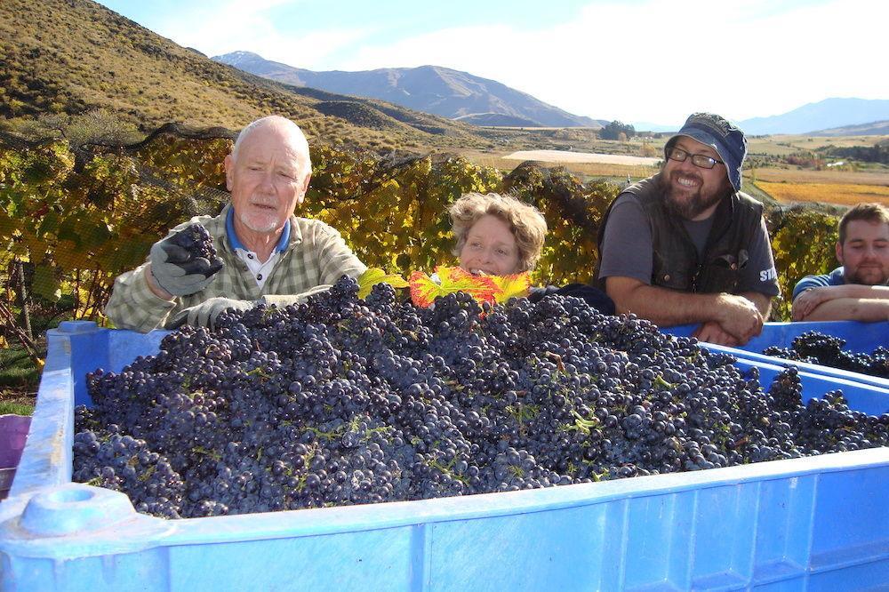 Mt Rosa Lodge Boutique Vineyard Accommodation Уанака Екстериор снимка