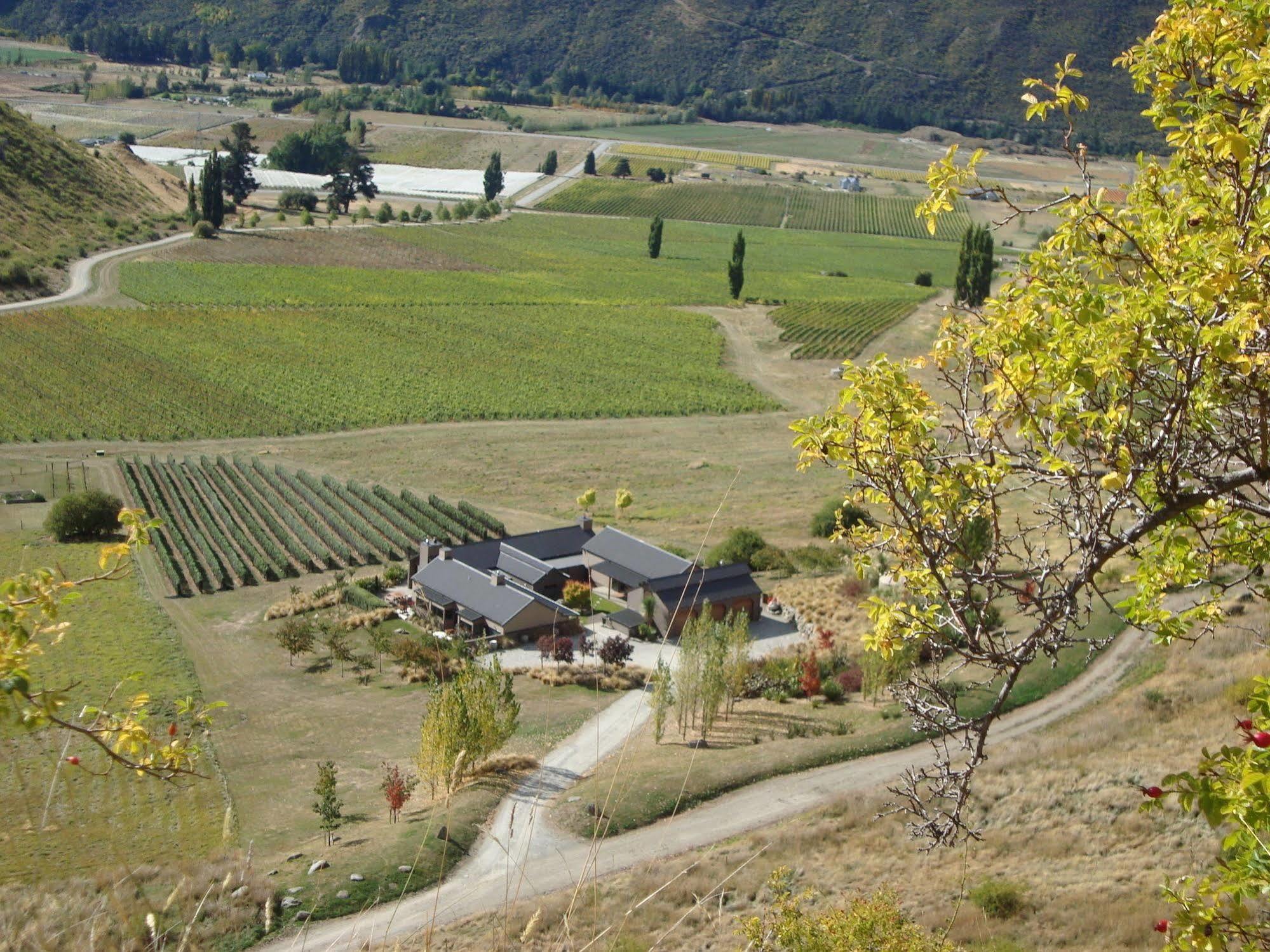 Mt Rosa Lodge Boutique Vineyard Accommodation Уанака Екстериор снимка