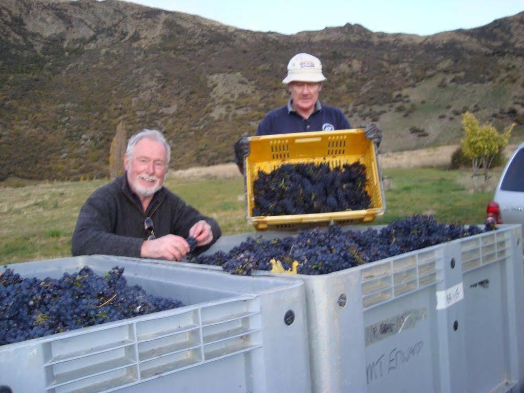 Mt Rosa Lodge Boutique Vineyard Accommodation Уанака Екстериор снимка