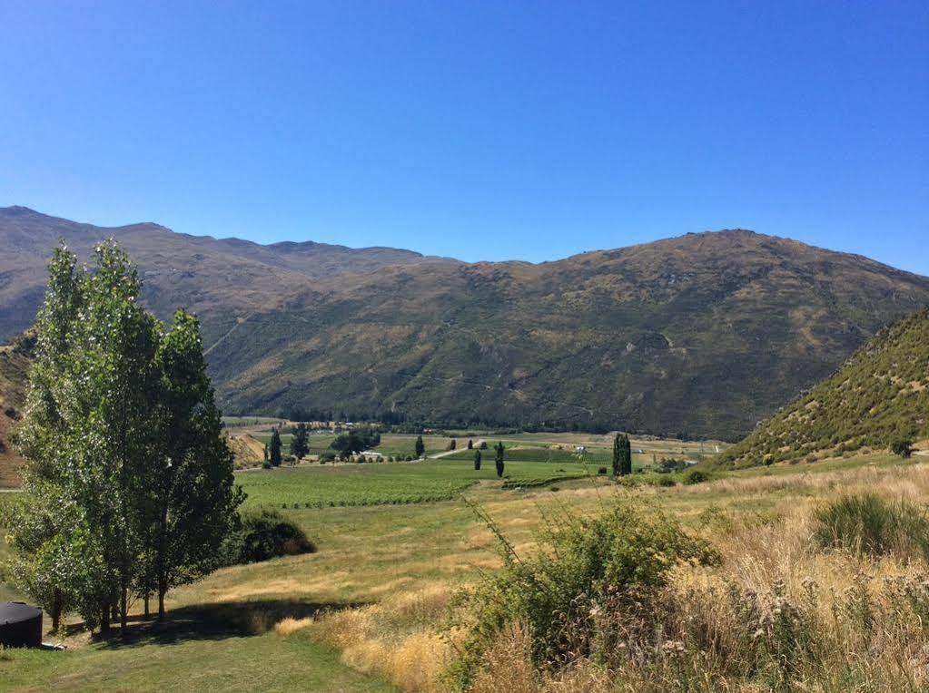 Mt Rosa Lodge Boutique Vineyard Accommodation Уанака Екстериор снимка